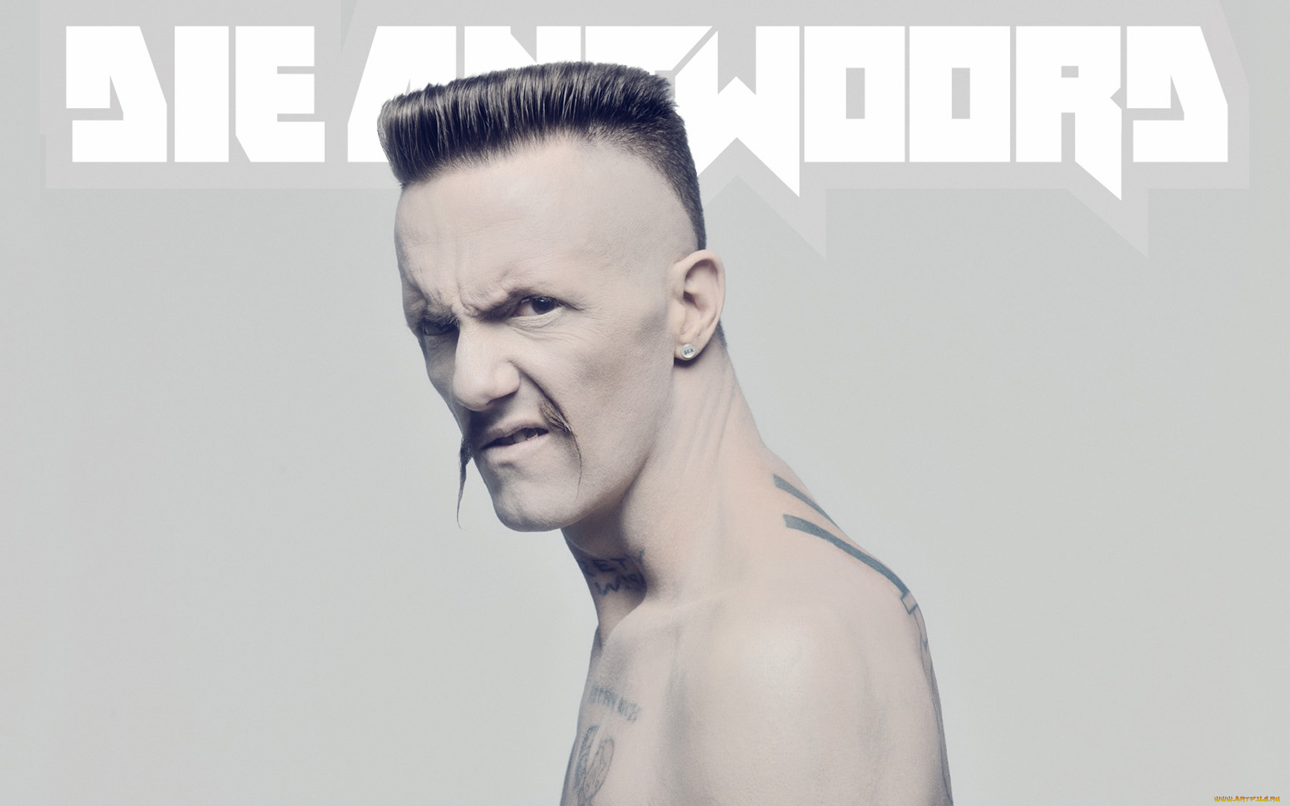 Antwoord перевод. Группа die antwoord. Ниндзя группа die antwoord. Уоткин Тюдор Джонс. Die antwoord солист.